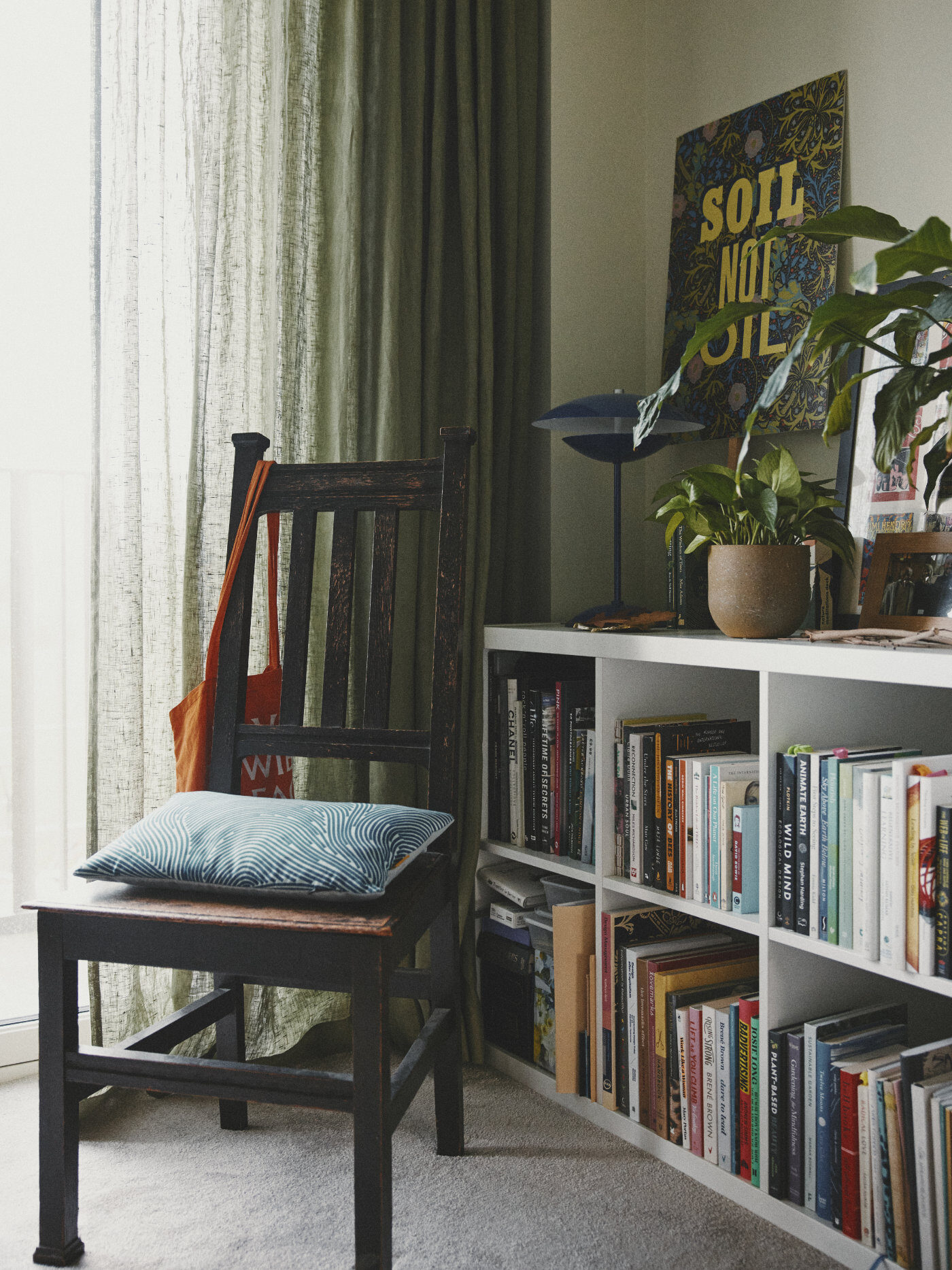 The corner of a calm and energising study, with a chair for visitors and a bookcase with books and pot plants. A placard on the wall says 'Soil not oil'